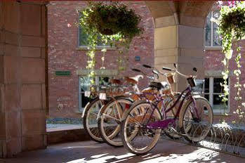 The 4* Telluride